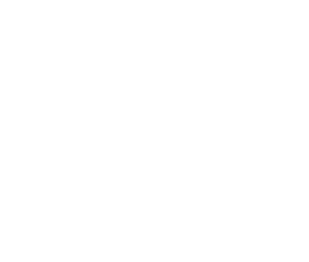 Fiat Logo