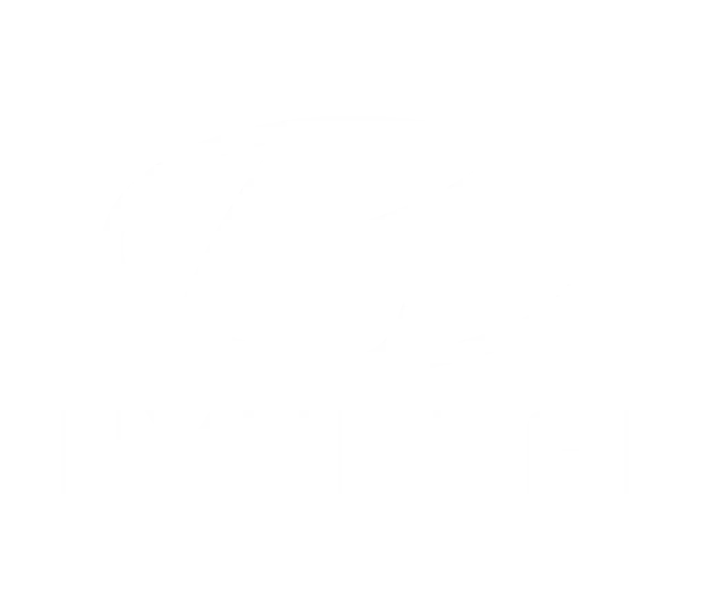Hyundai Logo